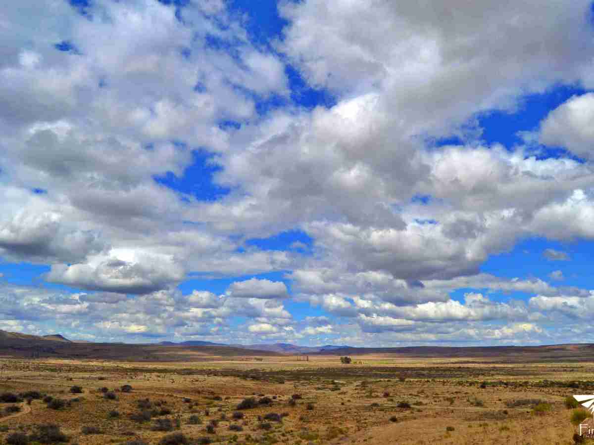 Karoo skies
